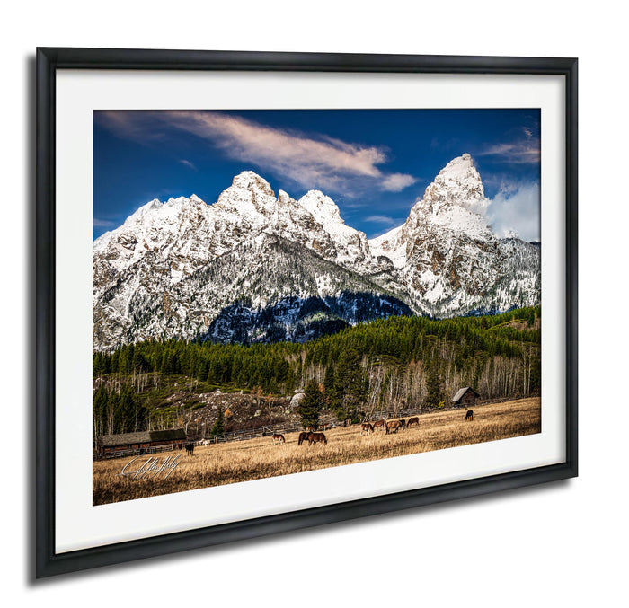 A framed photograph depicting a serene mountain landscape with snow-capped peaks, a lush green forest, and a herd of horses grazing in the foreground.