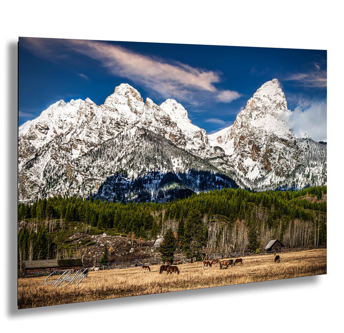 A picturesque mountain landscape with snow-capped peaks, a lush green forest, and a herd of horses grazing in the foreground.