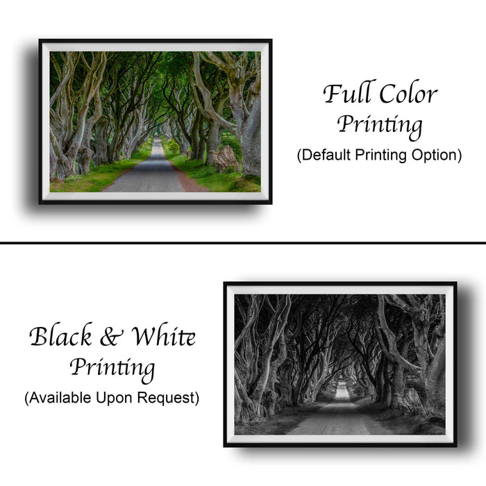 The image is a collage of two framed pictures. The top picture is a full color print of a tree-lined path, while the bottom picture is a black and white print of the same tree-lined path. The text below the images indicates that the full color printing is available upon request.