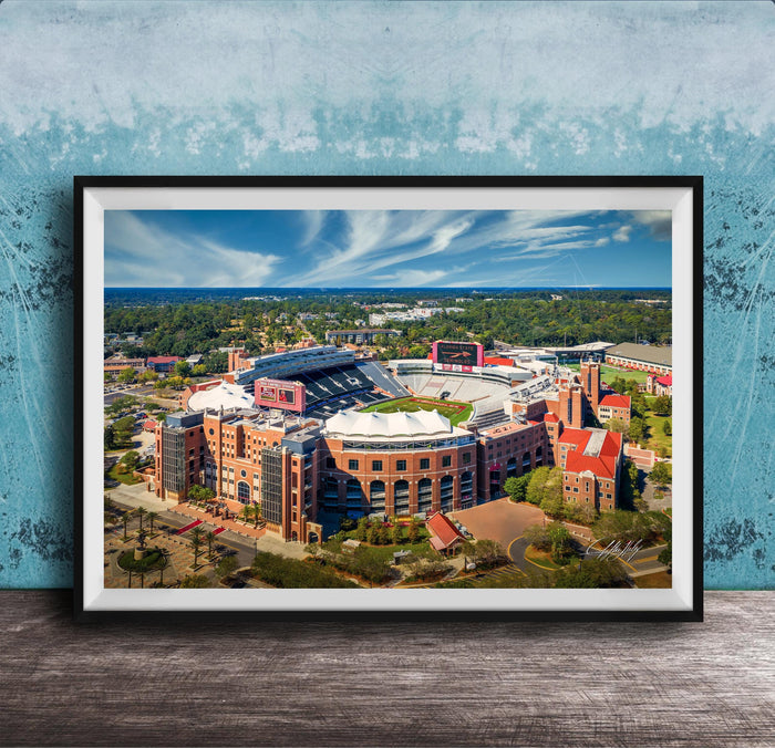 The image is a framed aerial view of a large sports stadium, showcasing its distinctive architecture and surrounding landscape.