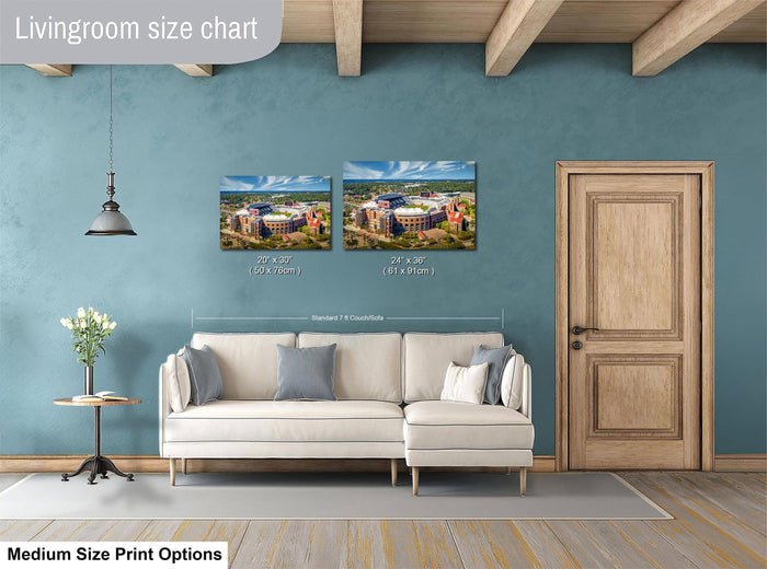 Florida State stadium art, Doak Campbell mid day photo, Seminole tradition print, FSU football wall decor, Unconquered aerial image, Fear the Spear art, college stadium Florida print, Tallahassee university photo, FSU campus fine art, Seminole Nation landscape