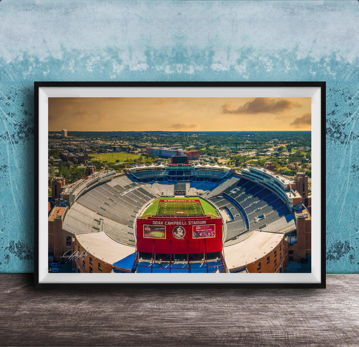The image is a framed photograph of a football stadium, specifically the dome stadium at Duke Campbell Stadium, with a cityscape in the background.