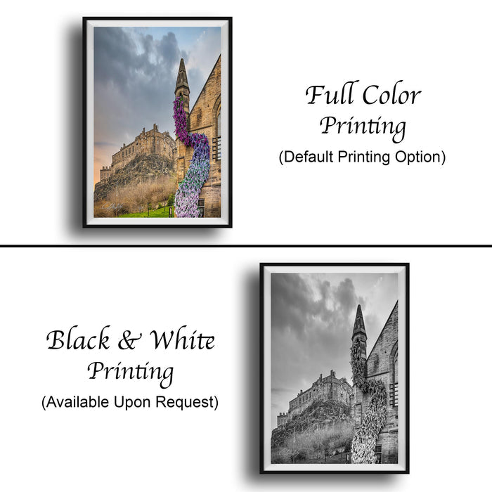 The image is a collage of two framed pictures, one in black and white and the other in full color. The black and white picture depicts a castle, while the full color picture shows a colorful flower sculpture. The black and white picture is labeled as "Black & White Printing" and the full color picture is labeled as "Full Color Printing (Default Printing Option)".