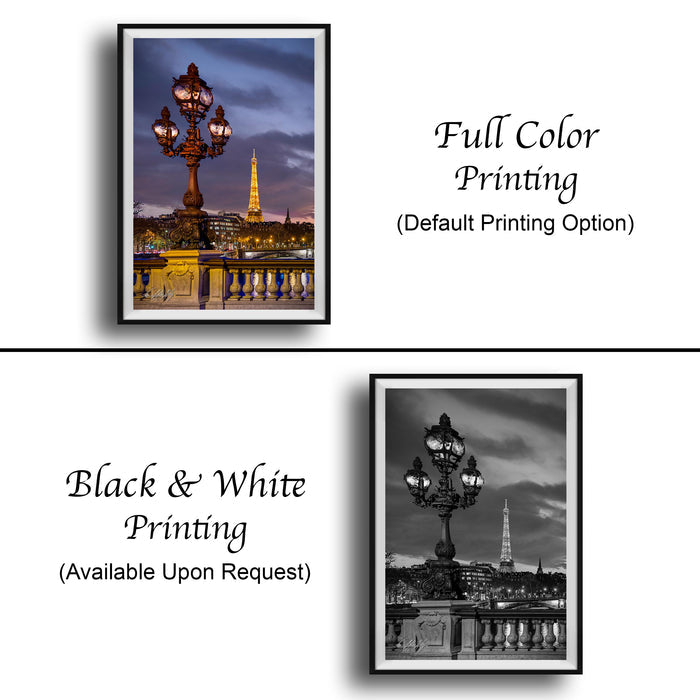 The image is a collage of two framed pictures. The top picture is a full color print of a street lamp with a city skyline in the background, and the bottom picture is a black and white print of the same street lamp. Both pictures are framed and available upon request.