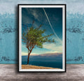 A lone tree stands on a rocky shore, overlooking a vast body of water under a clear blue sky.