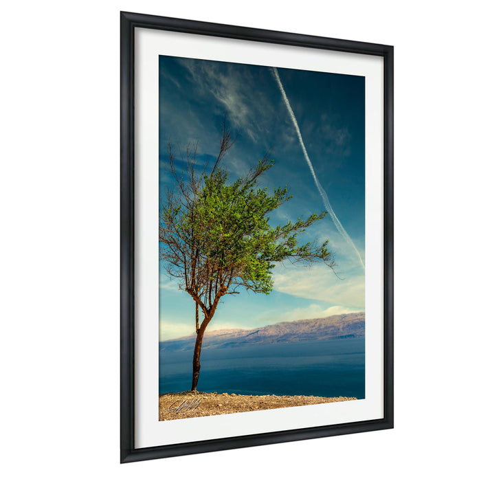 A lone tree stands on a rocky shore, its branches reaching out against a backdrop of a vast, blue sky and distant mountains.