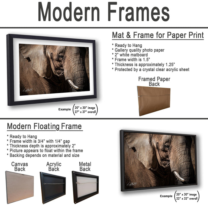 The image is a collage of two framed artworks, one of which is a mat and frame for a paper print, and the other is a modern floating frame.