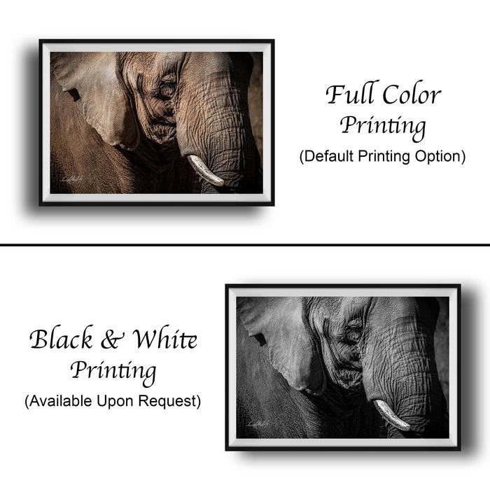 The image is a collage of two framed photographs of an elephant, one in black and white and the other in full color. The black and white photograph is labeled as "Black & White Printing" and the full color photograph is labeled as "Full Color Printing (Default Printing Option)".