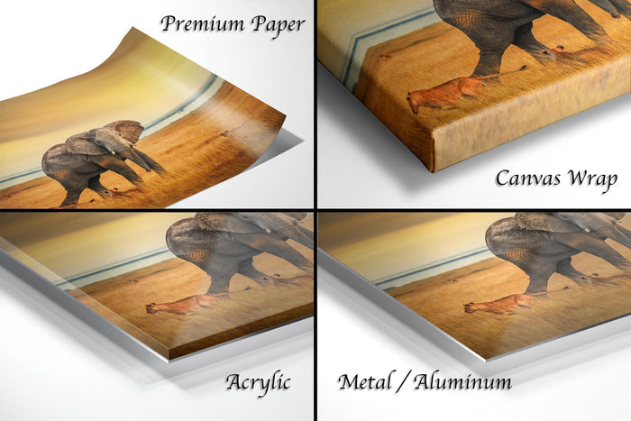 The image is a collage of four different views of an elephant on a wooden surface, with each view labeled as either "Premium Paper", "Canvas Wrap", "Acrylic", or "Metal/Aluminum".