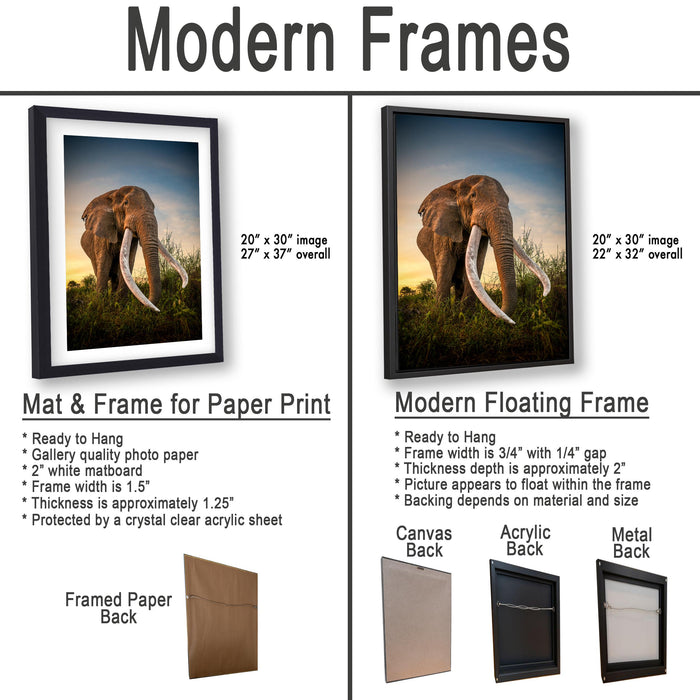 The image is a comparison of modern frames for different types of artwork, including a mat and frame for a paper print and a modern floating frame for a picture of an elephant.