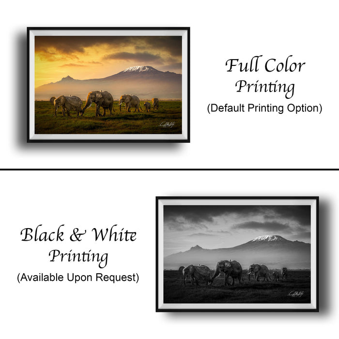 The image is a collage of two framed pictures. The top picture is a full color print of a herd of elephants walking across a grassy field, with a mountain in the background. The bottom picture is a black and white print of the same herd of elephants walking across the same grassy field, with a mountain in the background. Both pictures are framed and displayed side by side, showcasing the same scene in different color schemes.