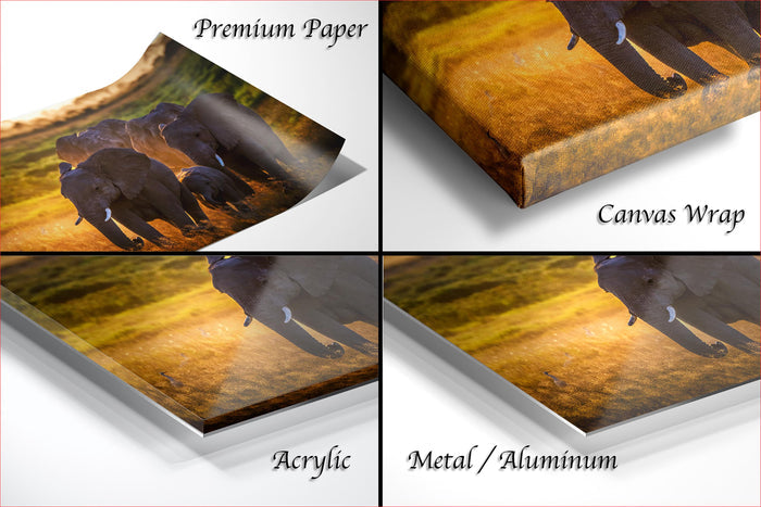 The image is a collage of four different views of a group of elephants in a natural setting, with the text "Premium Paper", "Canvas Wrap", "Acrylic", and "Metal/Aluminum" indicating the materials used to print the images.