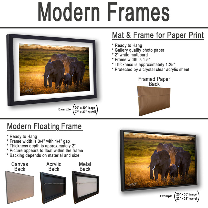 The image is a collage of two framed pictures, one of elephants and one of a field, both in black and white. The collage is labeled as "Modern Frames" and includes various frame options such as mat and frame for paper print, modern floating frame, and acryclic and metal back.