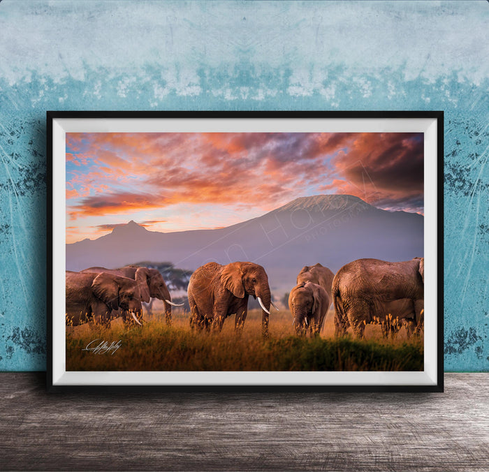 A group of elephants grazing in a grassy field with a mountain in the background, set against a colorful sunset sky.