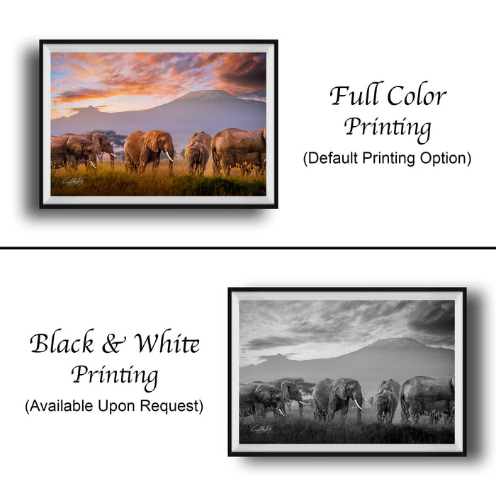 The image is a collage of two framed pictures. The top picture is a full color print of a herd of elephants in a grassy field, while the bottom picture is a black and white print of the same herd of elephants in a similar setting.