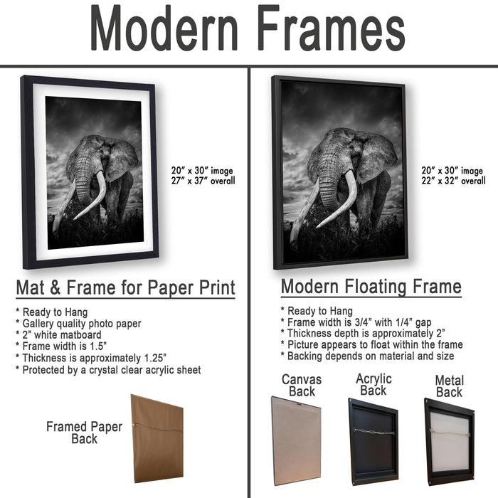 The image is a comparison of modern frames for different types of artwork, including a mat and frame for a paper print and a modern floating frame for a picture.