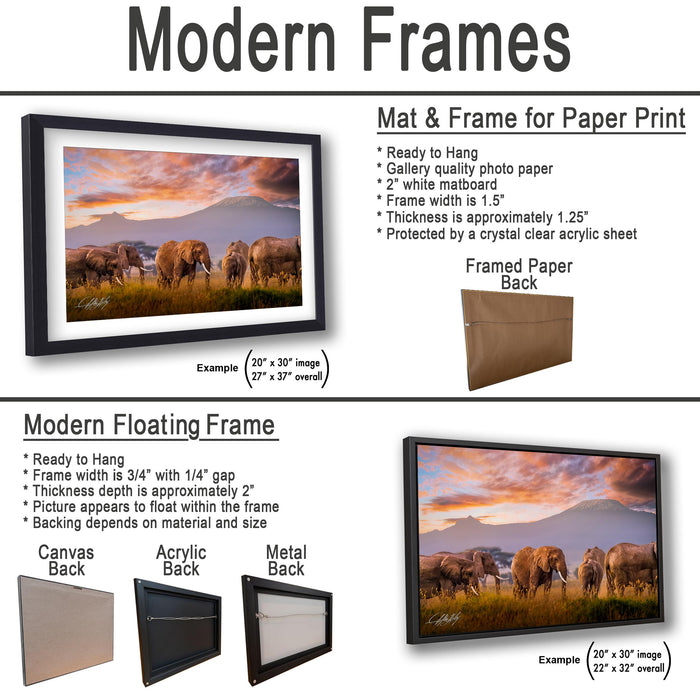 The image is a collage of two framed pictures, one of elephants and one of a sunset. The collage is titled "Modern Frames" and includes various frame options such as mat and frame for paper print, modern floating frame, and acryclic and metal back.