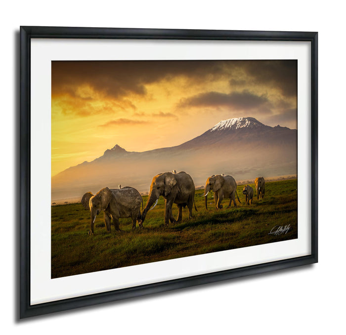 A group of elephants grazing in a grassy field with a majestic mountain range in the background, under a dramatic orange and yellow sky.