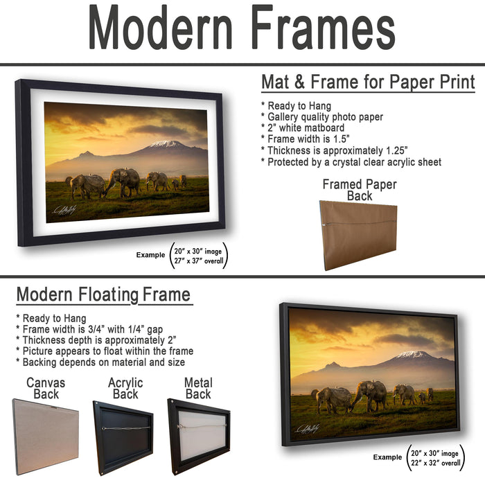 The image is a collage of two framed pictures, one of elephants in a field and the other of a sunset. The collage is presented in two different frame types: a modern floating frame and a modern hanging frame.