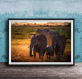 A group of elephants standing in a grassy field, with the sun setting in the background.