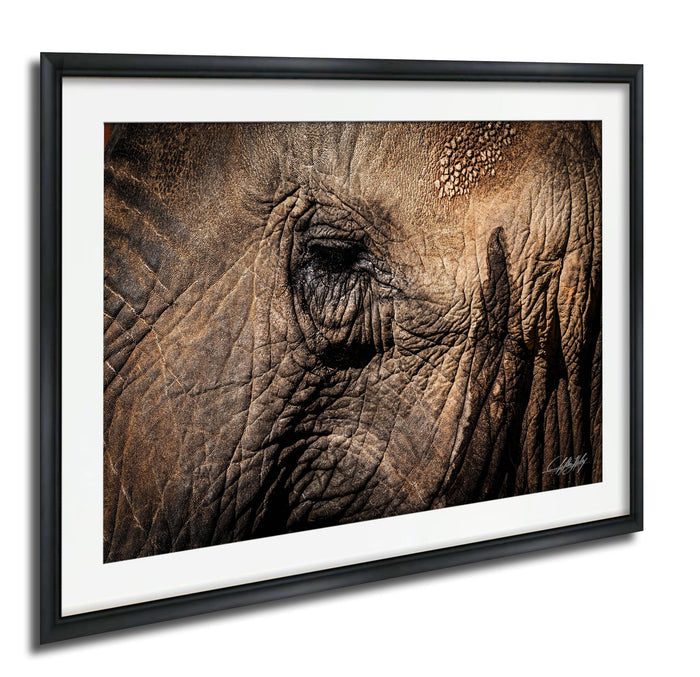 The image is a close-up of an elephant's eye, showcasing its intricate texture and depth.