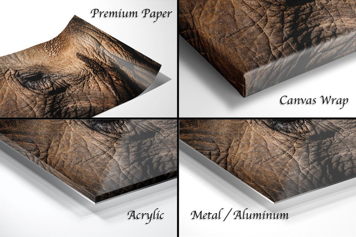 The image is a collage of four close-up photographs of an elephant's eye, each with a different finish: premium paper, canvas wrap, acrylic, and metal/aluminum.