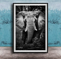 A black and white photograph of an elephant standing in front of a tree, with its large ears and trunk prominently featured.