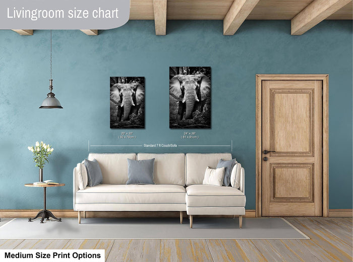 a living room with a white sofa, a wooden door, and a framed photograph of an elephant on the wall.