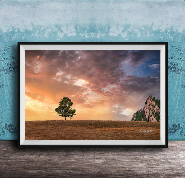 a serene landscape with a lone tree standing in a field, set against a dramatic sky filled with clouds and a mountain in the distance.