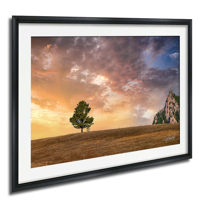 a lone tree standing on a hill, with a dramatic sky in the background featuring a mix of orange, pink, and blue hues, suggesting either sunrise or sunset.