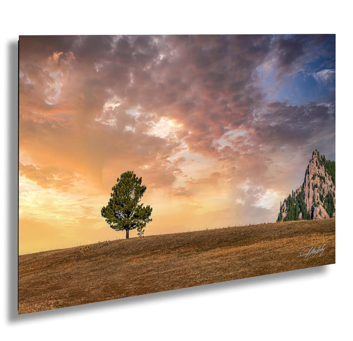 A lone tree stands on a hilltop, overlooking a vast landscape with a dramatic sky and a rocky mountain in the distance.