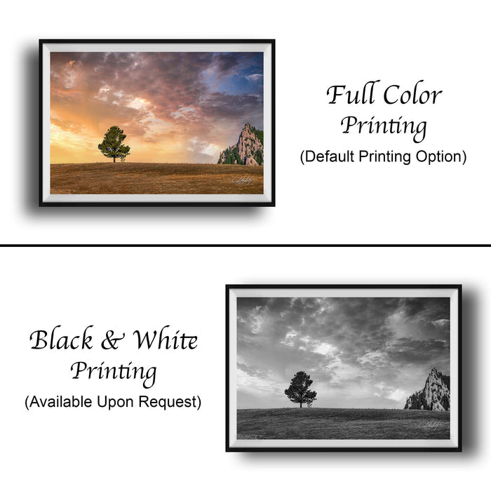 The image is a collage of two framed pictures. The top picture is a full color print of a landscape with a tree, while the bottom picture is a black and white print of the same landscape. Both pictures are framed and available upon request.