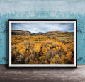 The image is a framed photograph of a scenic landscape with a valley filled with trees displaying autumn colors.