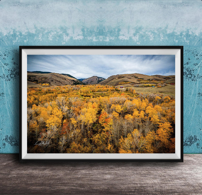 The image is a framed photograph of a scenic landscape with a valley filled with trees displaying autumn colors.