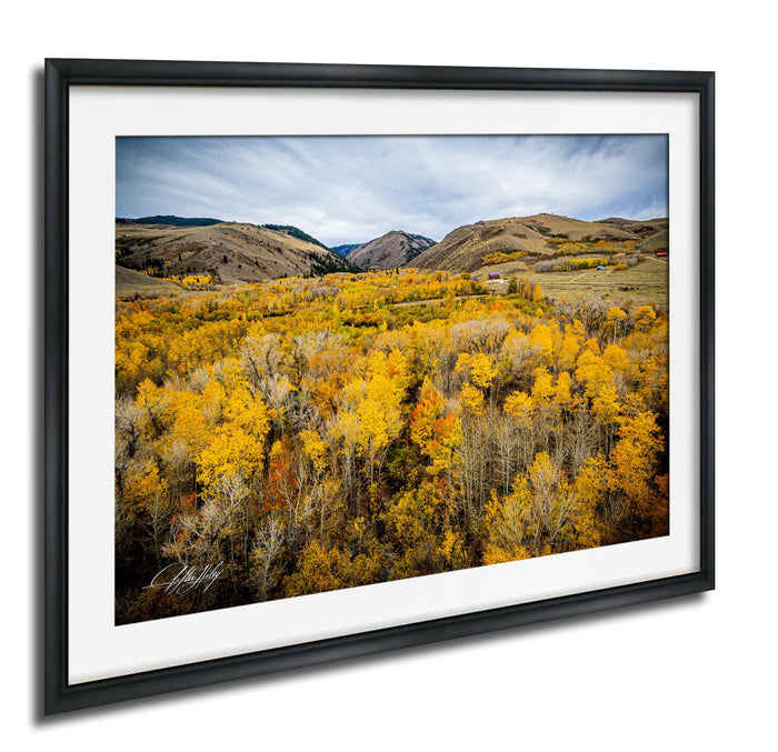 a picturesque landscape with a vibrant field of yellow trees in the foreground, surrounded by rolling hills and mountains in the distance under a blue sky with wispy clouds.
