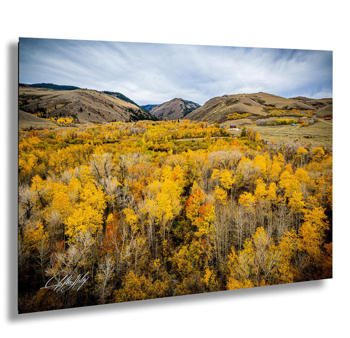 a picturesque landscape with a valley filled with trees displaying a mix of yellow and orange foliage, surrounded by rolling hills and mountains in the distance.