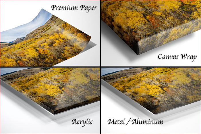 The image is a collage of four different images, each depicting a landscape with a mountainous background and trees in various shades of yellow. The images are labeled as "Premium Paper", "Canvas Wrap", "Acrylic", and "Metal/Aluminum" to describe the materials used for the prints.
