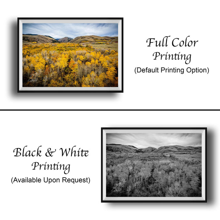 The image is a collage of two framed photographs. The top photograph is a full color print of a field with yellow flowers, while the bottom photograph is a black and white print of the same field. The text below the images indicates that the full color printing is available upon request, and the black and white print is not.