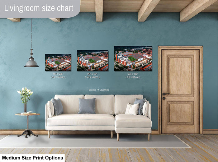 The image is a livingroom size chart with three framed pictures of a stadium, each with different sizes. The chart provides the dimensions of each picture in inches, with the largest picture being 24 inches and the smallest being 10 inches. The livingroom has a white sofa and a wooden door, creating a cozy and comfortable atmosphere.