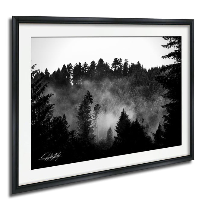 A black and white photograph of a forest with mist or fog enveloping the trees, creating a serene and atmospheric scene.