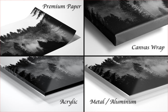 The image is a collage of four different images, each depicting a forest scene. The images are labeled as "Premium Paper", "Canvas Wrap", "Acrylic", and "Metal/Aluminum".