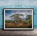 A framed photograph depicting a group of zebras and giraffes in a natural setting, with a tree in the foreground and a cloudy sky in the background.