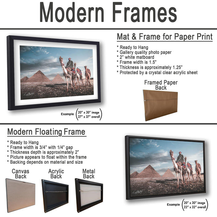 a picture of a picture of a desert with a camel and a camel on it