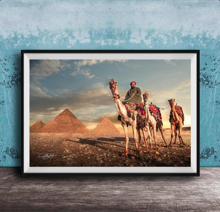 A framed photograph depicting a camel caravan in front of the iconic pyramids of Giza, Egypt, with a man riding one of the camels.