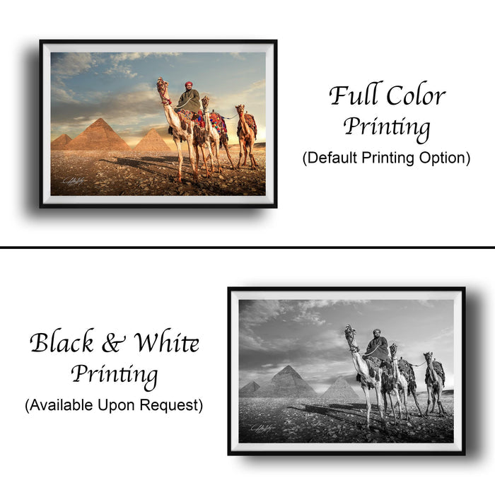 The image is a collage of two framed photographs. The top photograph is a full-color print of a desert scene with camels, while the bottom photograph is a black and white print of the same desert scene with camels.