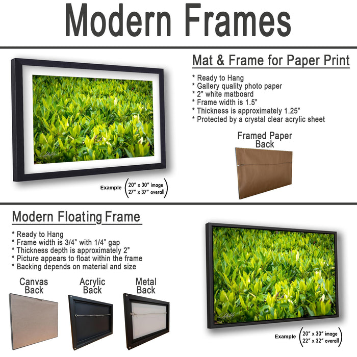 The image is a collage of three framed artworks, each with different frame types and backings. The first artwork is a mat and frame for a paper print, the second artwork is a modern floating frame, and the third artwork is a framed paper back.