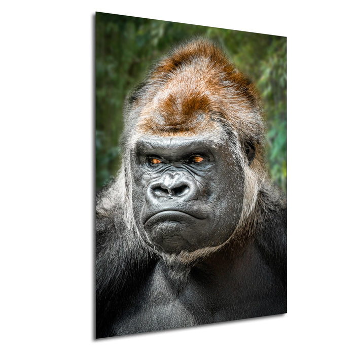 gorilla photography, silverback wall art, uganda jungle print, wildlife fine art, african nature decor, primate photo art, rainforest wall decor, safari home artwork, jungle wildlife print, gorilla portrait art, bwindi forest photo, african wilderness decor, nature lover gift, travel wall art, exotic wildlife image