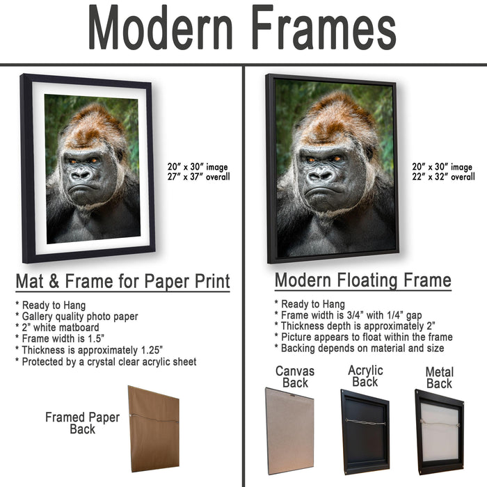 The image is a comparison of modern frames for different types of artwork, including a close-up of a gorilla and a portrait of a person.
