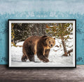 A brown bear walking through a snowy forest, with trees and snow-covered ground visible in the background.