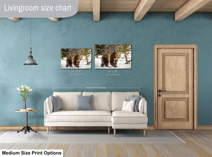 a living room with a white sofa and a wooden door. Above the sofa, there are two framed photographs of a bear, one larger than the other. The wall behind the sofa has a blue color, and there is a lamp hanging from the ceiling. The living room appears to be well-lit and decorated.